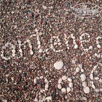 фото из отзыва ID 1387571