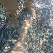 фото из отзыва ID 1387571