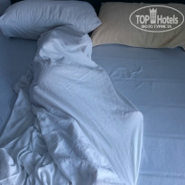 фото из отзыва ID 1387571