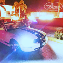 фото из отзыва ID 1387853