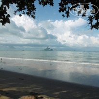 фото из отзыва ID 1387859