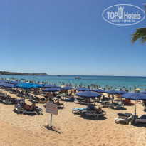 фото из отзыва ID 1387890