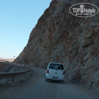 фото из отзыва ID 1387961