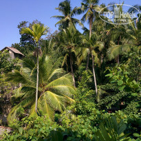 фото из отзыва ID 1387964