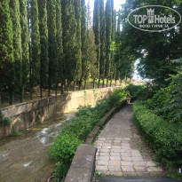 фото из отзыва ID 1388024