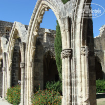 фото из отзыва ID 1388122