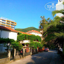 фото из отзыва ID 1388183