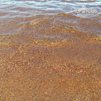 фото из отзыва ID 1388183