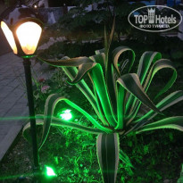 фото из отзыва ID 1388194