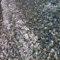 фото из отзыва ID 1388217