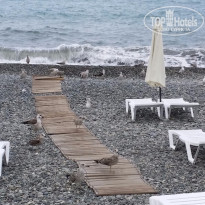 фото из отзыва ID 1388217