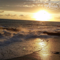 фото из отзыва ID 1388217