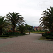 фото из отзыва ID 1388217