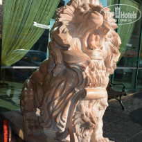 фото из отзыва ID 1388253