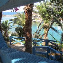 фото из отзыва ID 1388307