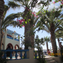 фото из отзыва ID 1388307