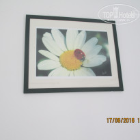 фото из отзыва ID 1388307