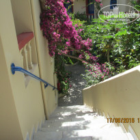 фото из отзыва ID 1388307