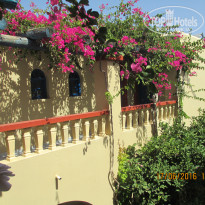 фото из отзыва ID 1388307