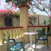 фото из отзыва ID 1388307