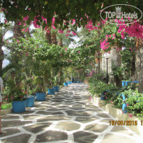 фото из отзыва ID 1388307