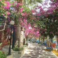 фото из отзыва ID 1388307