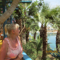 фото из отзыва ID 1388307