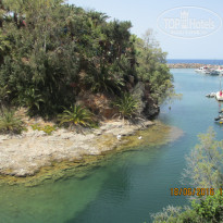 фото из отзыва ID 1388307