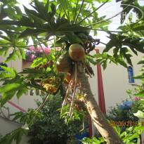 фото из отзыва ID 1388307