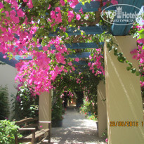 фото из отзыва ID 1388307