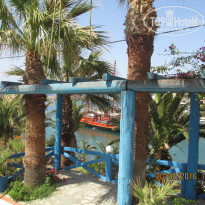 фото из отзыва ID 1388307