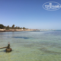 фото из отзыва ID 1388347