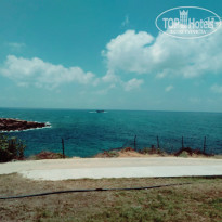 фото из отзыва ID 1388361