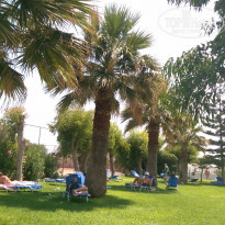 фото из отзыва ID 1388384