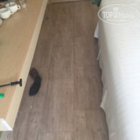 фото из отзыва ID 1388400