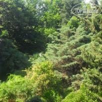 фото из отзыва ID 1388471