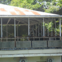 фото из отзыва ID 1388471