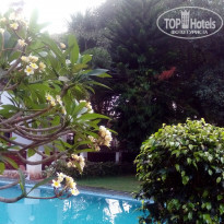 фото из отзыва ID 1388511