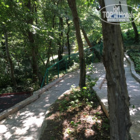 фото из отзыва ID 1388523