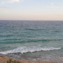 фото из отзыва ID 1388590