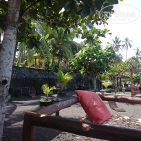 фото из отзыва ID 1388605