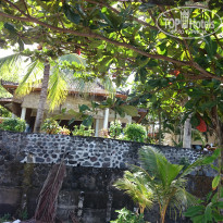 фото из отзыва ID 1388605