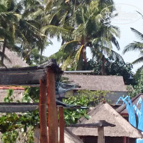 фото из отзыва ID 1388605