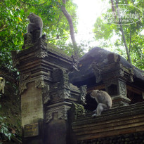 фото из отзыва ID 1388605