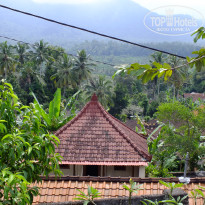 фото из отзыва ID 1388605