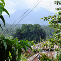 фото из отзыва ID 1388605