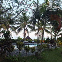 фото из отзыва ID 1388605