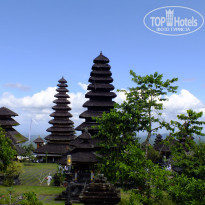 фото из отзыва ID 1388605