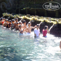 фото из отзыва ID 1388605