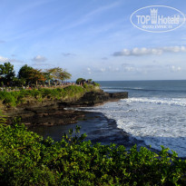 фото из отзыва ID 1388605